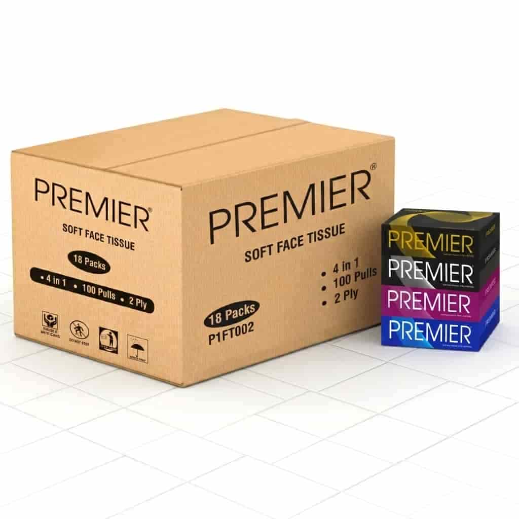 Premier Tissue Paper Box 100's 4 x 1
